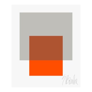 The Interaction of Gray and Orange Fine Art Print 45" X 55" by Liz Roache For Sale