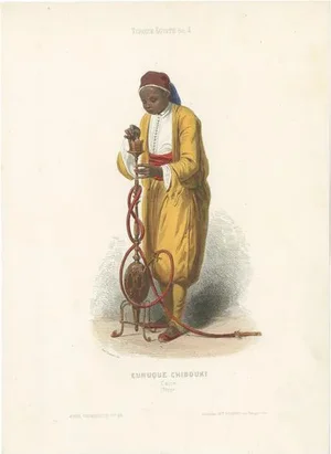 Aubert, Costume Illustration of a Eunuch, Cairo, 1850, Print