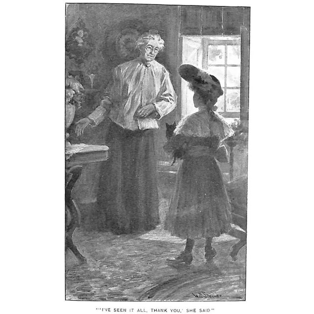 "The Dorrance Domain" 1905 Wells, Carolyn For Sale In New York - Image 6 of 6