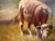 Rustic European Antique Oil Painting on Canvas Cows Farm Landscape Pastoral Scene Signed Framed For Sale - Image 3 of 15