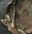 French Art Nouveau Signed a.j. Vaast Bronze Nymph Catchall Dish For Sale - Image 4 of 9