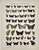Presenting a beautiful pair of original antique chromolithographs featuring exquisitely detailed butterfly specimens....