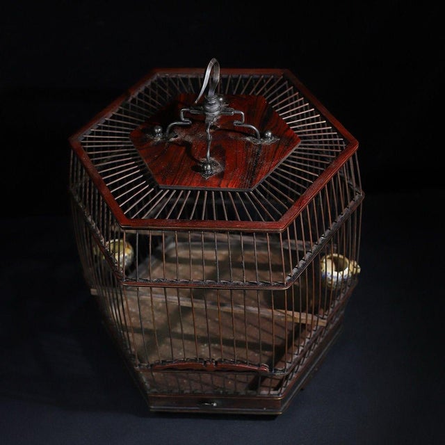 Vintage Chinese Huali Rosewood Hexagonal Bird Cage With Matching 60cm Wooden Pole For Sale - Image 4 of 10