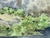 Luis Amendolla (Mexican 1939-2000) Watercolor Village Landscape, Signed For Sale - Image 11 of 18