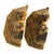 Early 20th Century American Cast Iron Figural "Hunting Pointers" Bookends - A Pair For Sale In Jacksonville, FL - Image 6 of 9