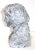 Artisan Bust of Victorian Girl Long Hair Tied in a Bow For Sale - Image 4 of 12