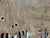 Artdreams Home Trees Decorative Wall Mirrors, Pair For Sale - Image 10 of 12