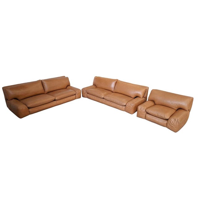 Animal Skin Bengodi Sofa Set by Cini Boeri for Arflex Italia, 1970, Set of 3 For Sale - Image 7 of 15