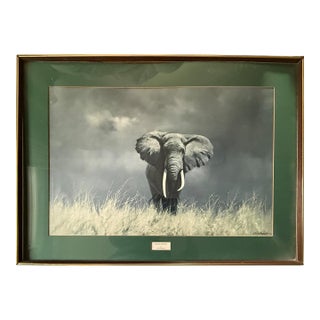 Large Vintage David Shepherd Wise Old Elephant Lithograph 37x27 For Sale