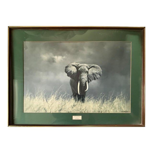 Large Vintage David Shepherd Wise Old Elephant Lithograph 37x27 For Sale