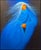 "Fruit from the Light" Original Limited Edition Serigraph by Frank Howell This piece is hand signed, numbered, titled by...
