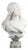 Sculpture Bust of a Woman in White Carrara Marble by Adolfo Cipriani, 1900s For Sale