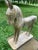 Late 20 Th Century Wooden Carved Horse Statue Sculpture For Sale - Image 4 of 9