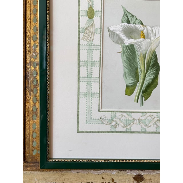 Art Deco Original Botanical Custom Framed with Hand-painted Matte ft. Calla Lily For Sale - Image 3 of 5