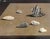 Gino Guida, Table with Shells, 1980s, Oil on Plywood For Sale