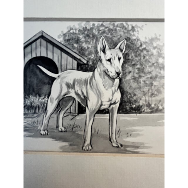 Mid-Century Modern Vintage White Bull Terrior Print For Sale - Image 3 of 3