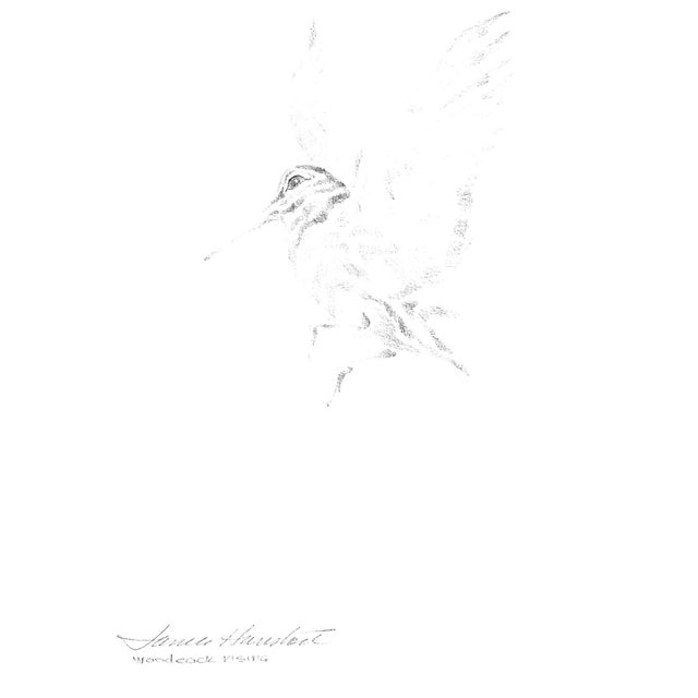 White "A Wall-To-Wall of the Leash 1925-1975" Reichner, Morgan s.A. For Sale - Image 8 of 12