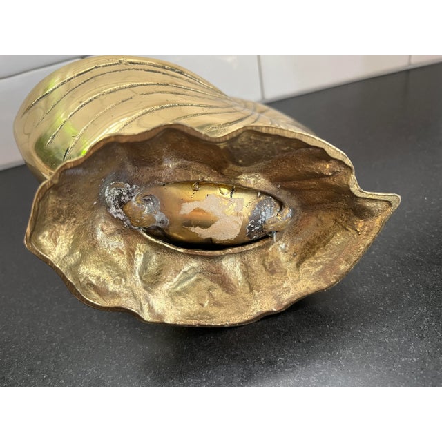 1980s Vintage Brass Nautilus Shell Planter, Smaller Scale For Sale In Orlando - Image 6 of 6
