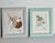 Beautiful pair if vintage sea Shell art collages , signed by Florida artist and framed.