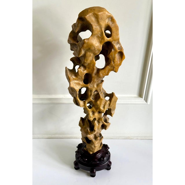 Tall Elegant Chinese Scholar Rock Yellow Taihu Stone on Wood Stand For Sale - Image 12 of 18