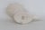 Lenox China Decorative Porcelain Cornucopia Made in Usa With 24k Gold Trim 5098b For Sale In Miami - Image 6 of 9