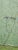 Art Deco Emerald Green Chinoiserie Scenic Wallpaper - Set of 10 For Sale - Image 3 of 13