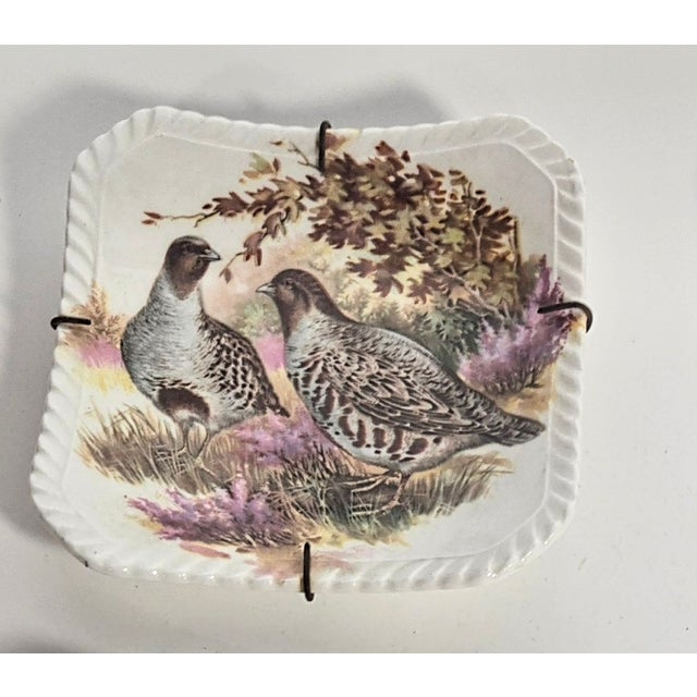 American Illustrated Game Bird Plates - Set of Six For Sale - Image 3 of 16