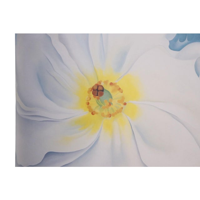 Georgia O'Keeffe Books, Set of 3 For Sale - Image 4 of 9