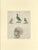 Antique bird print illustrating a wild turkey, a pheasant, helmeted guineafowl and a curassow. This print originates from...