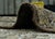 Gray Turkish Vintage Rug 7'2" x 9' #16859 For Sale - Image 8 of 8
