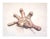 Lis Art, Emerging Work, 2019, Mixed Media For Sale