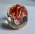 Fulvio Bianconi Murano Style Coral Paper Weight For Sale - Image 15 of 17