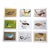 Vintage Charley Harper Modernist Abstracted Bird Lithographs (7.6" X 6.3") - Set of 9 For Sale
