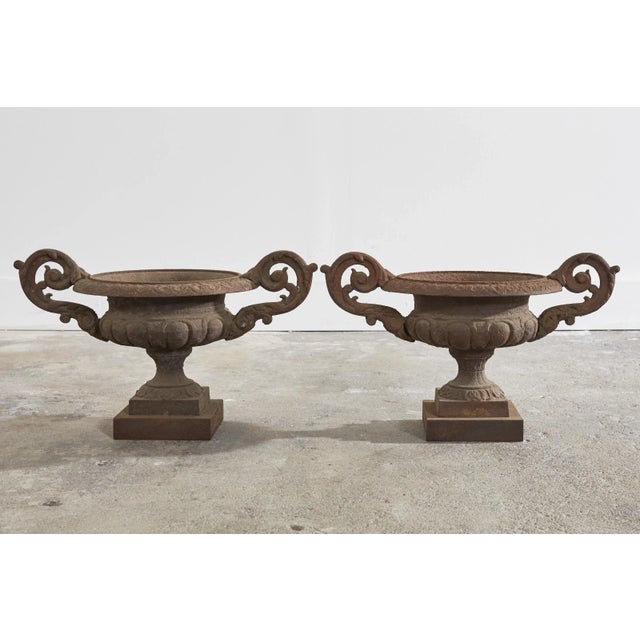 Pair of Diminutive English Cast Iron Urn Jardinaires For Sale - Image 12 of 13