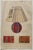 The lampshade is an original drawing in watercolor on paper realized in the late XIX century. with the of the decorative...