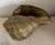 Large Vintage Brass Conch Seashell Planter For Sale - Image 10 of 11
