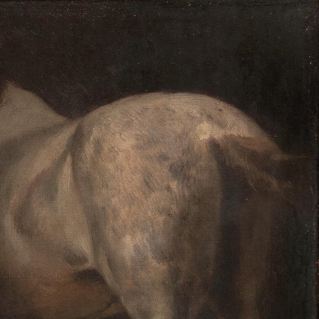 'Study of a Gray Horse' by Otto Bache, Circa 1910, Rear View, Equine, Danish Realism For Sale - Image 4 of 8