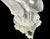 Chinese Blanc-De-Chine Porcelain Figure of Guanyin For Sale - Image 9 of 11
