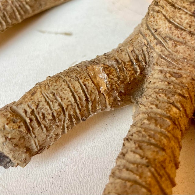 Ceramic Owl Table Lamp, 1960s For Sale - Image 6 of 18