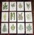 Antique 19th Century Botanical Fern Wood Engravings - Set of 12 For Sale - Image 9 of 9
