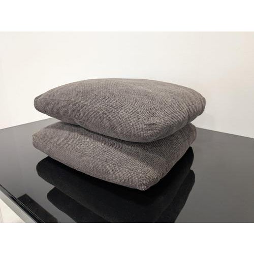 Charles Brown Cushions from B&B Italia, Set of 2 For Sale - Image 5 of 10