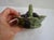 Mid 19th Century Antique Miniature Majolica Trompe l'Oeil Olives Cabbageware Basket For Sale - Image 5 of 8