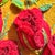 Metal Framed 3d Stumpwork Textile Wall Art - Vintage Botanical Red Roses on Yellow For Sale - Image 7 of 16