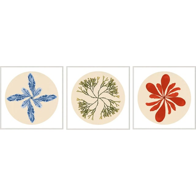 Not Yet Made - Made To Order Modern Beach, Set Of 3, Framed Artwork For Sale - Image 5 of 5