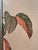 Lillian August Lillian August Birds & Fruit Triptych – 3-Piece Framed Art Set For Sale - Image 4 of 10