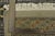 Bokhara Rug 4′ X 6’3” Gray Wool Tribal Hand-Knotted Oriental Carpet For Sale - Image 11 of 11