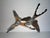 Mid 20th Century Dorothy Doughty Scissor Tailed Flycatchers - a Pair For Sale In Dallas - Image 6 of 16