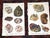 Printmaking Materials Authentic Antique 1916 Mineral Lithographs - Set of 12 For Sale - Image 7 of 8