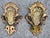 Bronzed Cherub Wall Sconces Ornate Pair Gold Rococo Baroque Putti Candle Holder For Sale - Image 9 of 10