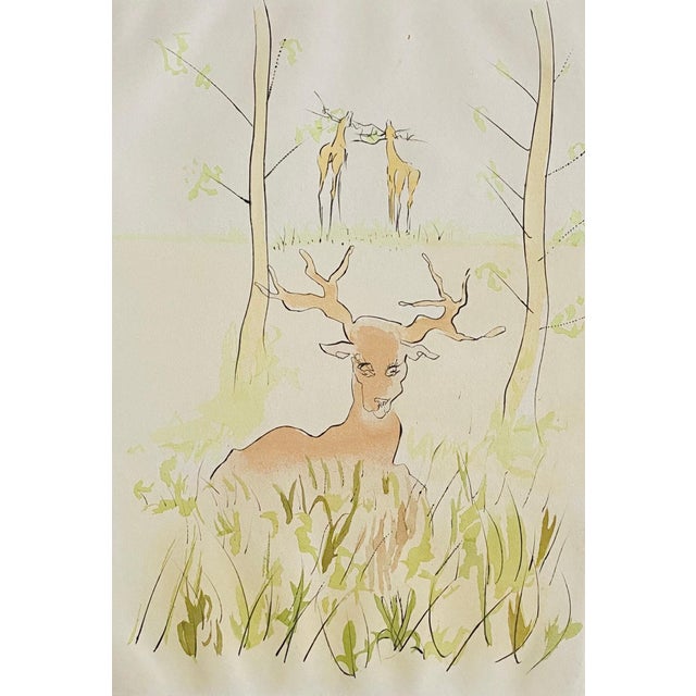 Salvador Dalí­Salvador Dali, Le Cerf Malade Signed Etching Engraving, Color Lithograph Pochoir For Sale - Image 4 of 9